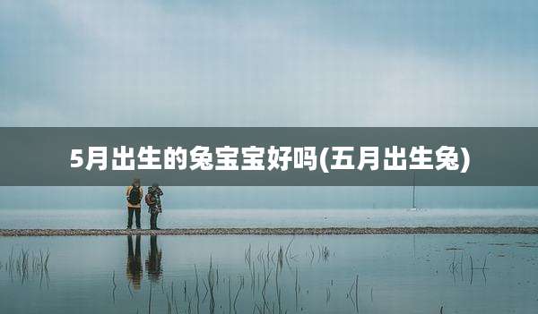 5月出生的兔宝宝好吗(五月出生兔)