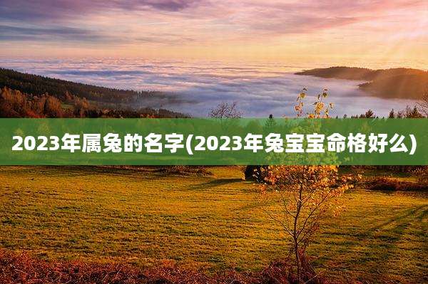 2023年属兔的名字(2023年兔宝宝命格好么)