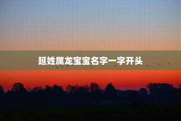 延姓属龙宝宝名字一字开头