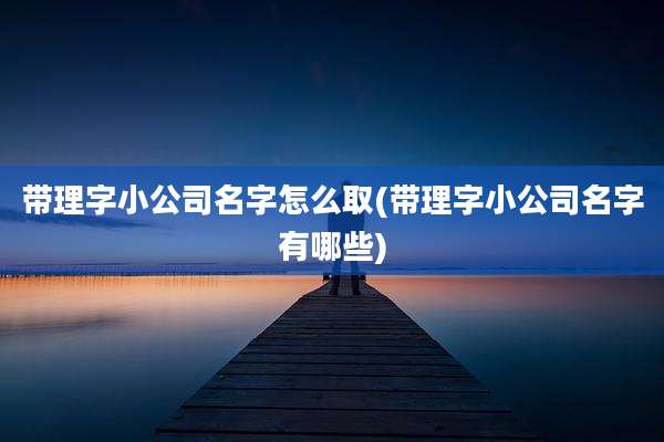 带理字小公司名字怎么取(带理字小公司名字有哪些)
