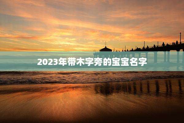 2023年带木字旁的宝宝名字