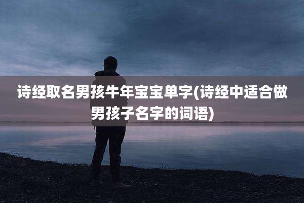 诗经取名男孩牛年宝宝单字(诗经中适合做男孩子名字的词语)