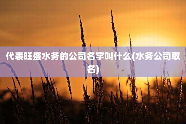 代表旺盛水务的公司名字叫什么(水务公司取名)