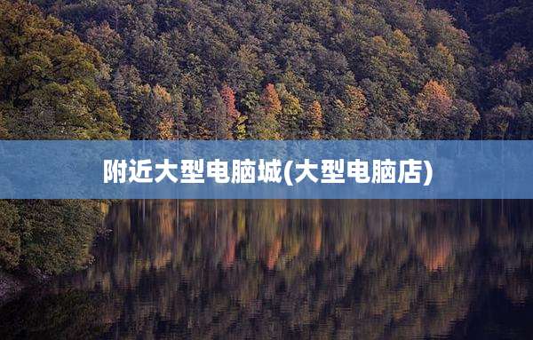 附近大型电脑城(大型电脑店)