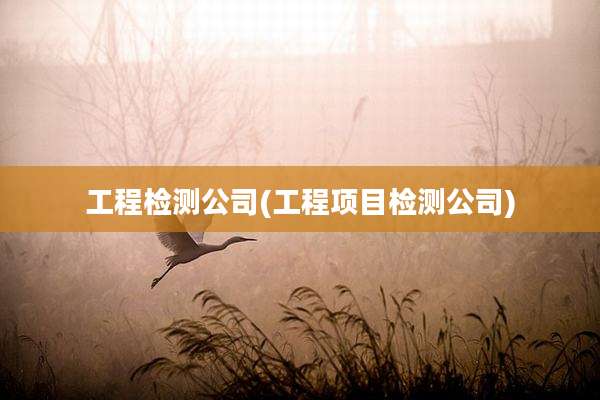 工程检测公司(工程项目检测公司)