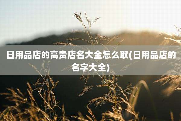 日用品店的高贵店名大全怎么取(日用品店的名字大全)
