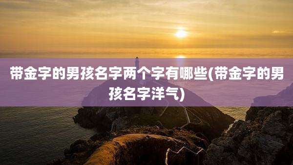 带金字的男孩名字两个字有哪些(带金字的男孩名字洋气)
