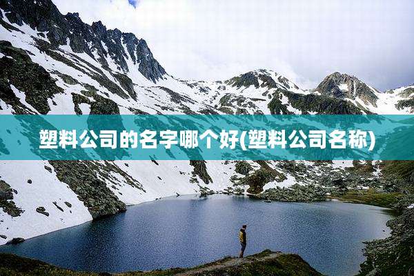 塑料公司的名字哪个好(塑料公司名称)