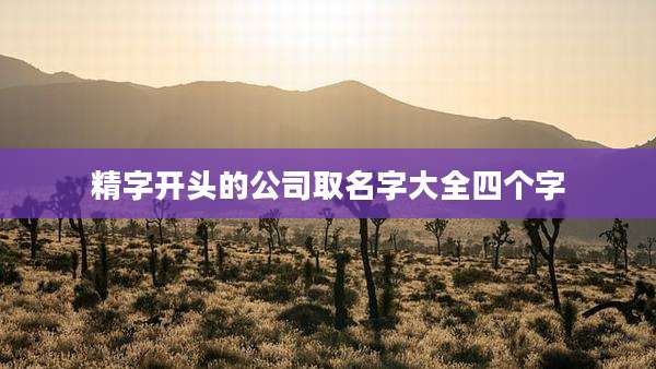 精字开头的公司取名字大全四个字