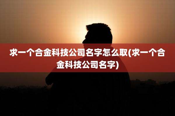 求一个合金科技公司名字怎么取(求一个合金科技公司名字)