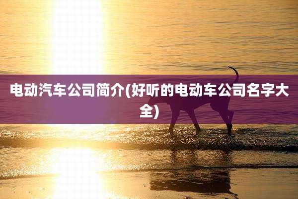 电动汽车公司简介(好听的电动车公司名字大全)