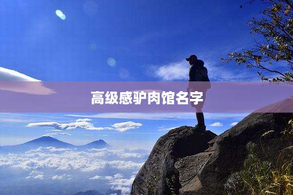 高级感驴肉馆名字