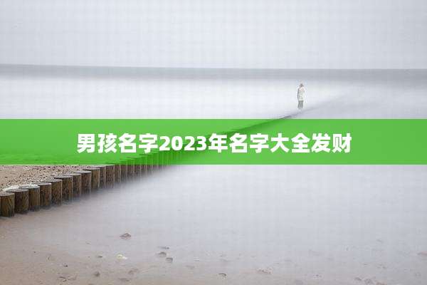 男孩名字2023年名字大全发财