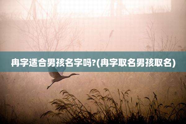 冉字适合男孩名字吗?(冉字取名男孩取名)