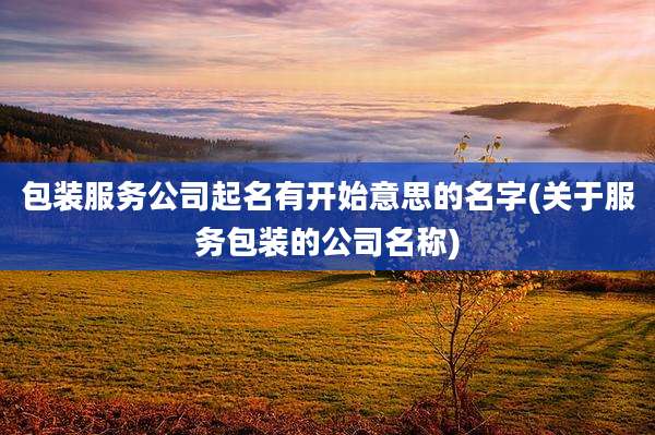 包装服务公司起名有开始意思的名字(关于服务包装的公司名称)