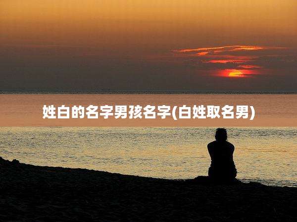 姓白的名字男孩名字(白姓取名男)
