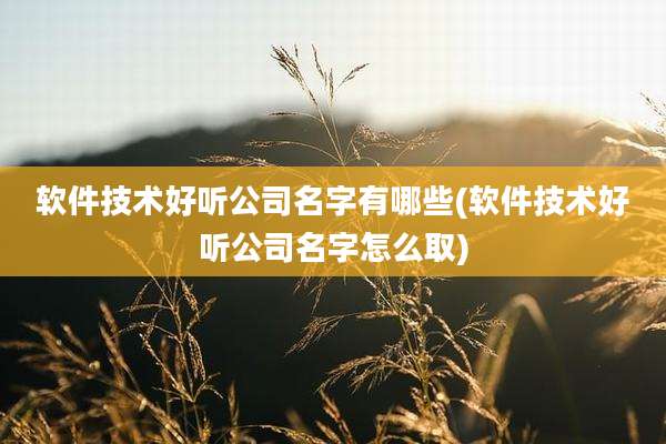 软件技术好听公司名字有哪些(软件技术好听公司名字怎么取)