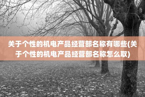 关于个性的机电产品经营部名称有哪些(关于个性的机电产品经营部名称怎么取)