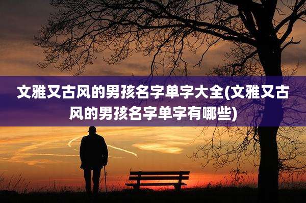 文雅又古风的男孩名字单字大全(文雅又古风的男孩名字单字有哪些)