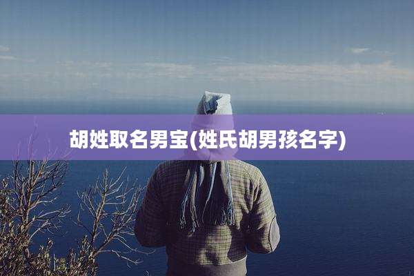 胡姓取名男宝(姓氏胡男孩名字)