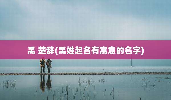 禹 楚辞(禹姓起名有寓意的名字)