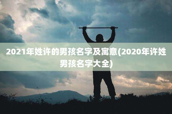 2021年姓许的男孩名字及寓意(2020年许姓男孩名字大全)