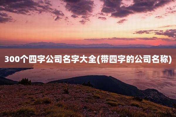300个四字公司名字大全(带四字的公司名称)