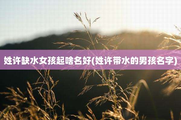 姓许缺水女孩起啥名好(姓许带水的男孩名字)
