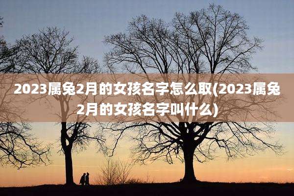 2023属兔2月的女孩名字怎么取(2023属兔2月的女孩名字叫什么)