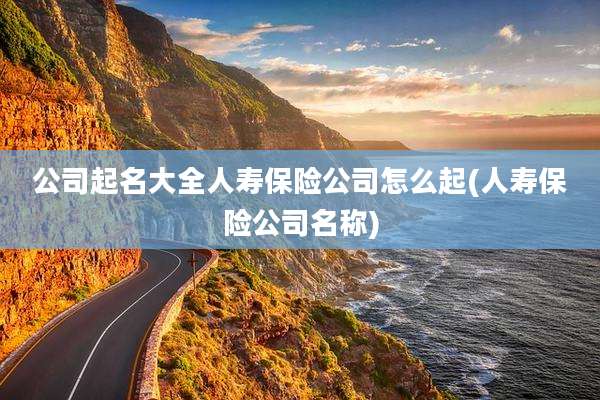 公司起名大全人寿保险公司怎么起(人寿保险公司名称)