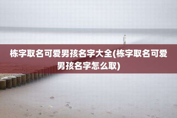 栋字取名可爱男孩名字大全(栋字取名可爱男孩名字怎么取)