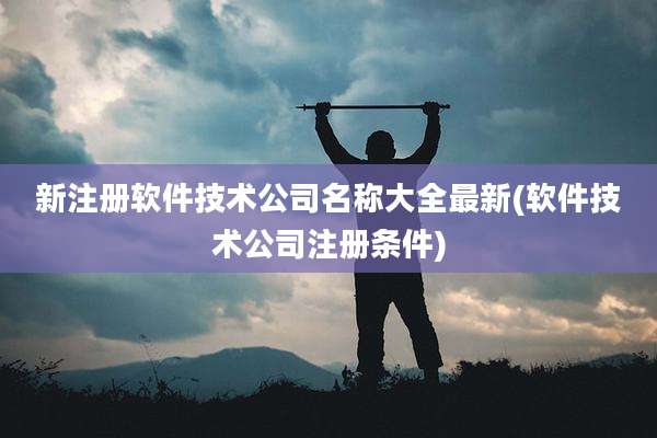 新注册软件技术公司名称大全最新(软件技术公司注册条件)