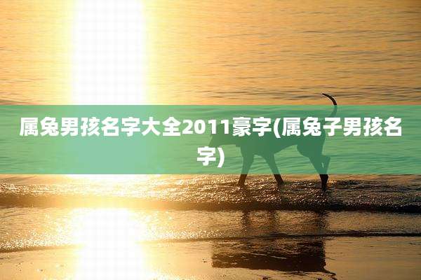 属兔男孩名字大全2011豪字(属兔子男孩名字)