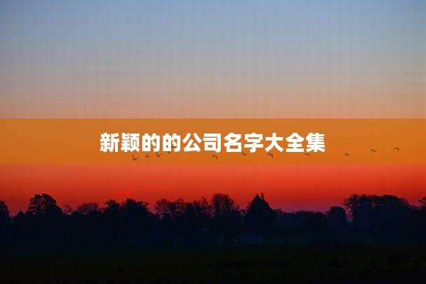 新颖的的公司名字大全集