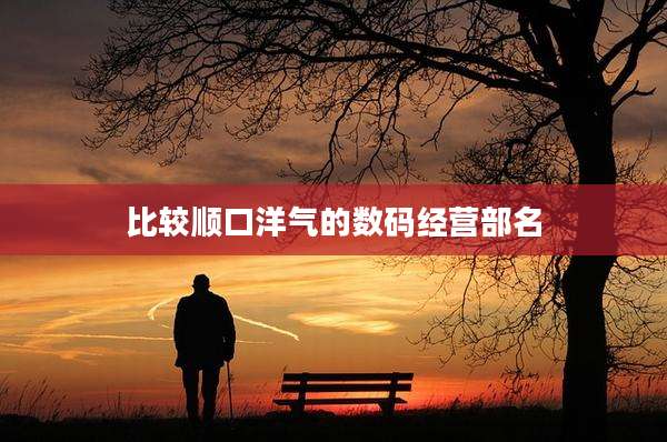比较顺口洋气的数码经营部名