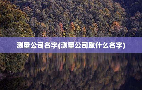 测量公司名字(测量公司取什么名字)