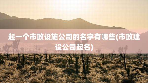起一个市政设施公司的名字有哪些(市政建设公司起名)