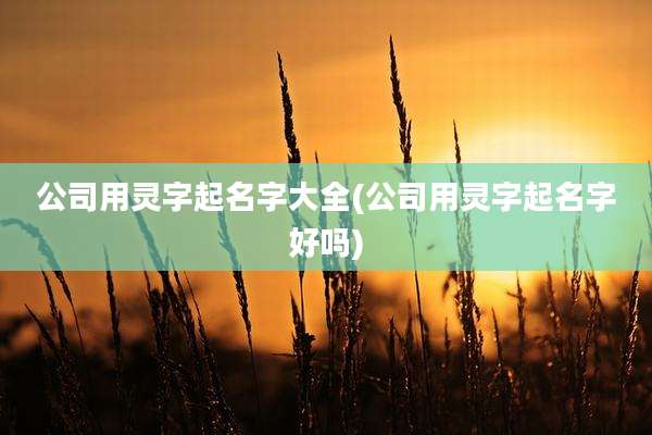 公司用灵字起名字大全(公司用灵字起名字好吗)