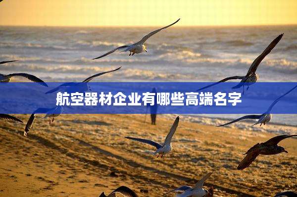 航空器材企业有哪些高端名字