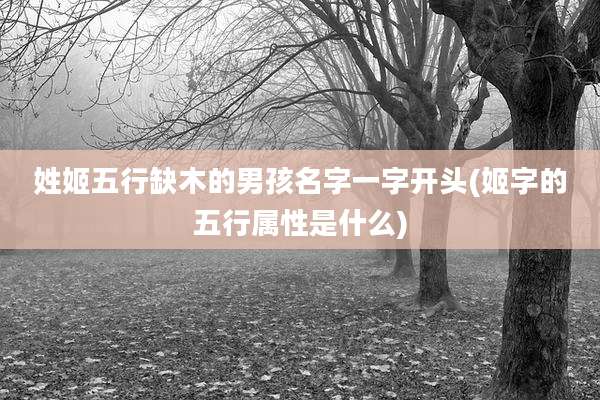 姓姬五行缺木的男孩名字一字开头(姬字的五行属性是什么)