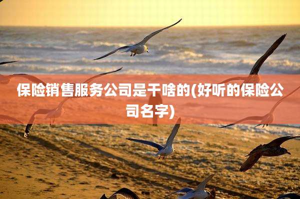 保险销售服务公司是干啥的(好听的保险公司名字)