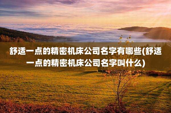 舒适一点的精密机床公司名字有哪些(舒适一点的精密机床公司名字叫什么)