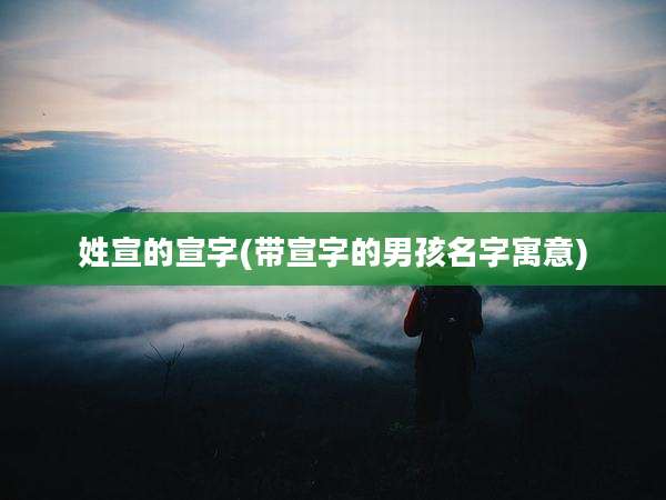 姓宣的宣字(带宣字的男孩名字寓意)