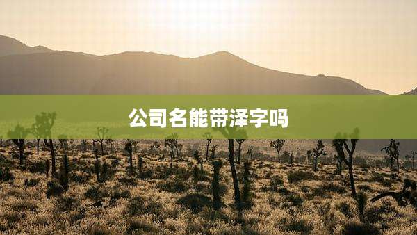 公司名能带泽字吗