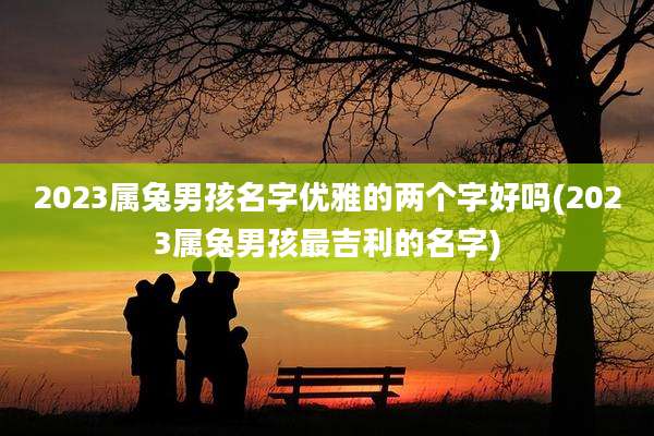 2023属兔男孩名字优雅的两个字好吗(2023属兔男孩最吉利的名字)