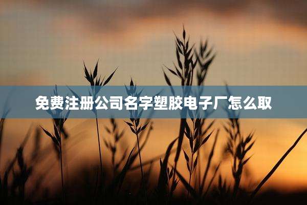免费注册公司名字塑胶电子厂怎么取