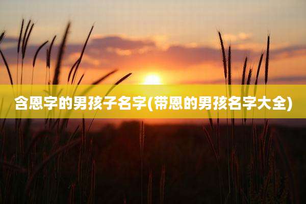 含恩字的男孩子名字(带恩的男孩名字大全)