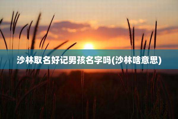 沙林取名好记男孩名字吗(沙林啥意思)