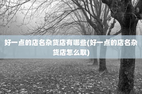 好一点的店名杂货店有哪些(好一点的店名杂货店怎么取)