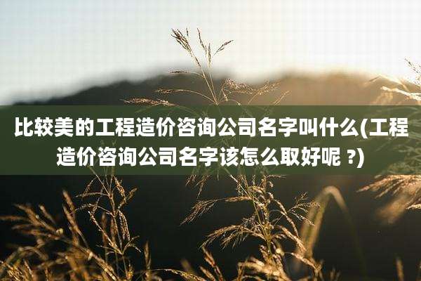 比较美的工程造价咨询公司名字叫什么(工程造价咨询公司名字该怎么取好呢 ?)